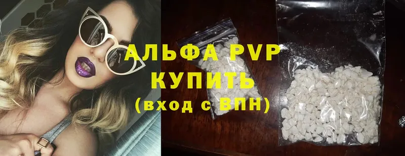 A PVP СК КРИС  Кинель 